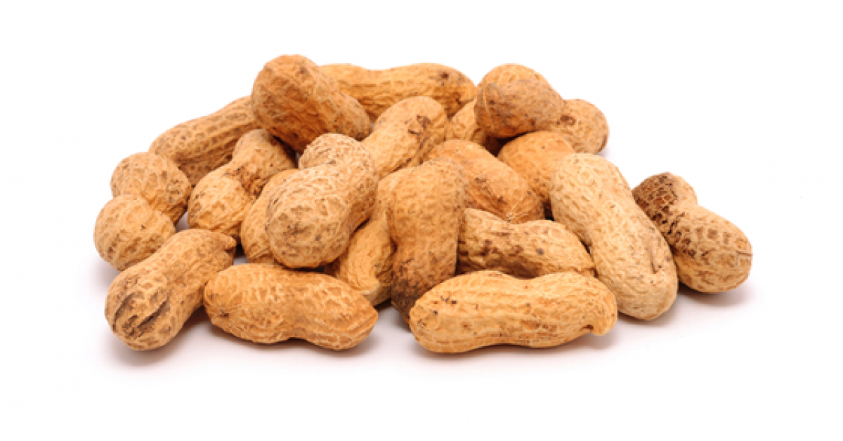 Peanut Allergies May Be on the Rise