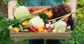 Why Eat Organic Produce?